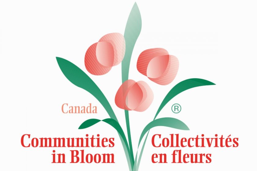 Pismo načelnika Boža Lasića stanovnicima Konavala povodom finala međunarodnog natjecaja Zlatni cvijet u kojem Hrvatsku predstavlja Cavtat