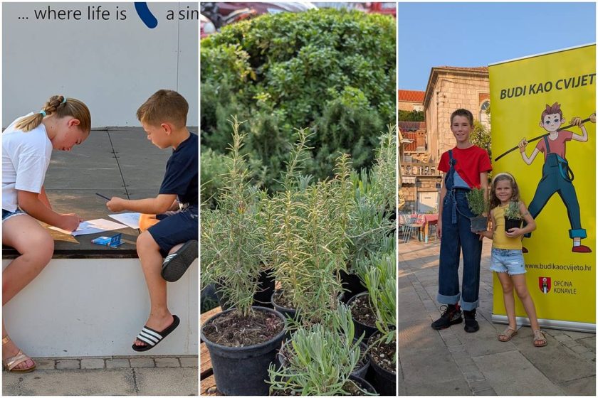 CAVTATSKA EKO FOTOGALERIJA Dijeljenje sadnica i dobra atmosfera: Tko se sve družio sa superjunakom Cvijetom?