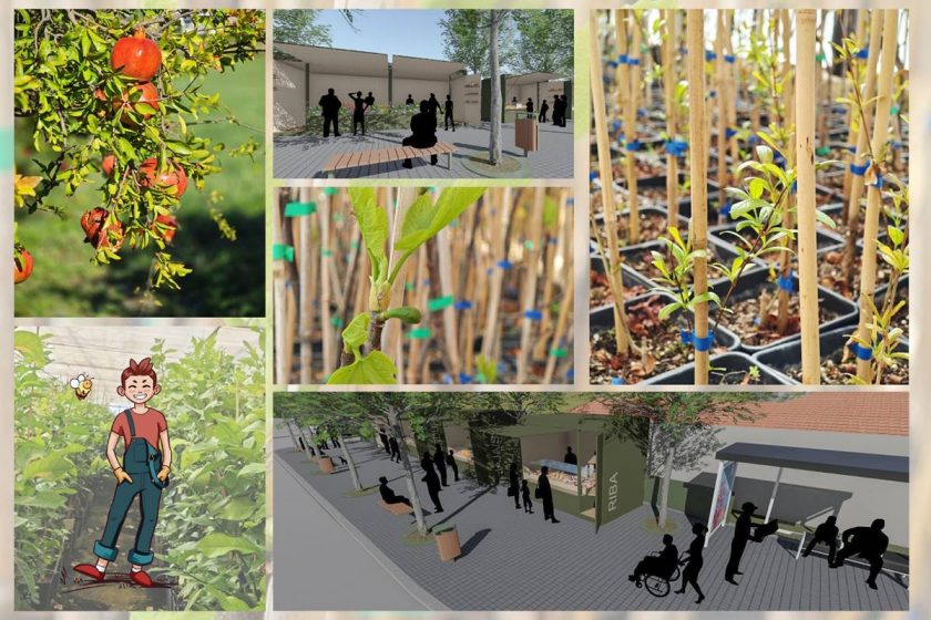 POZIV: Na prvi dan proljeća Cvijeto Konavljanima dijeli šipke i smokve na Grudi